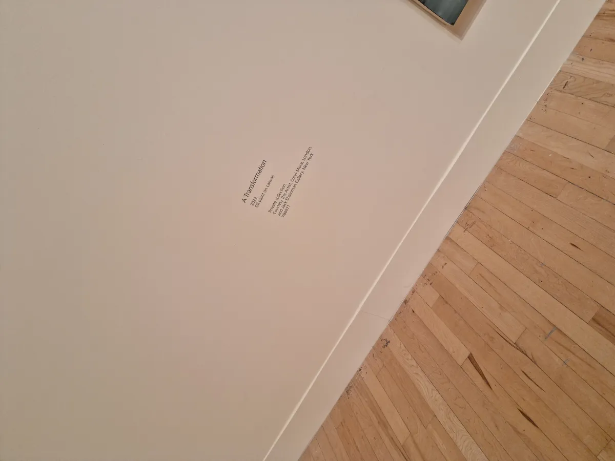 Lynette Yiadom-Boakye Gallery Image 117
